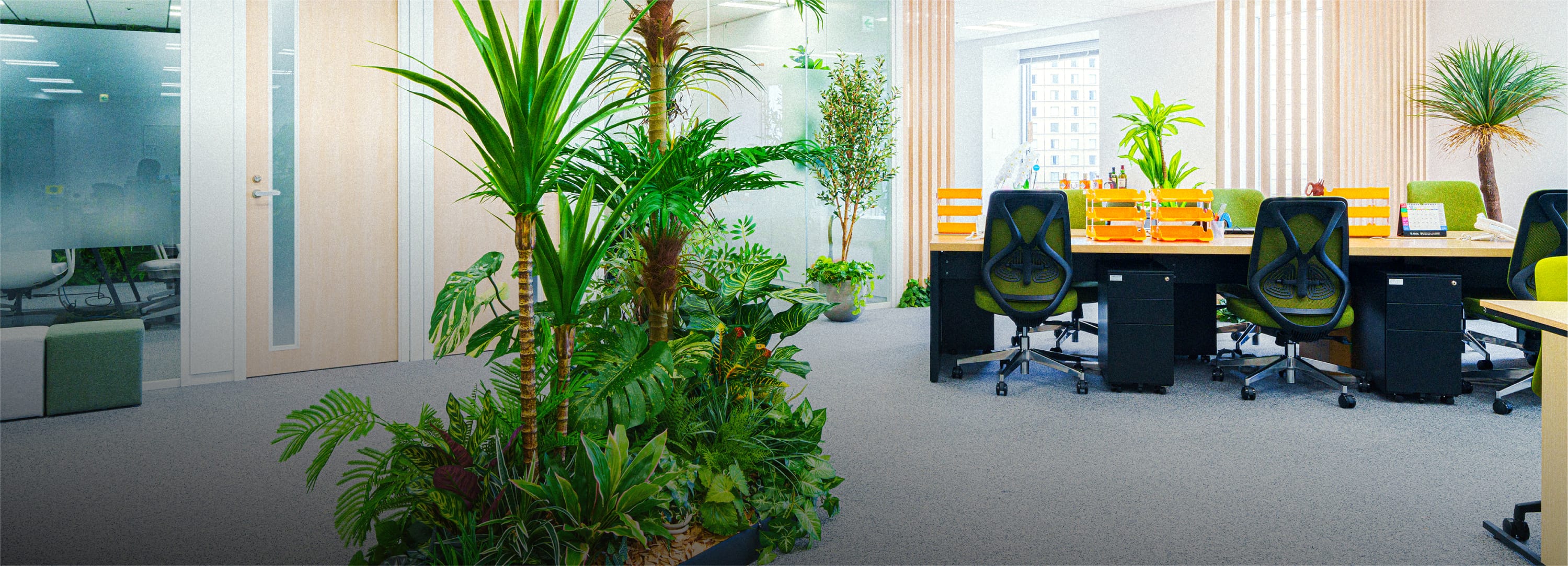 Modern Office Environment